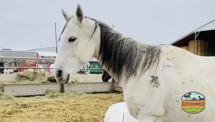 Video for Annual Report Email